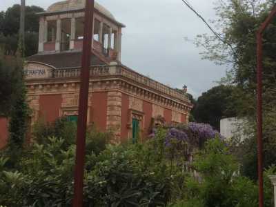 Villa Serafina, vista da via Massari: si intravede il porticato coperto dal glicine